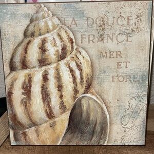 Sea shell tile photo